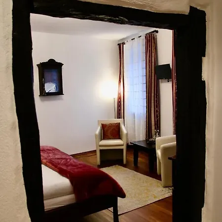 L'ostello Altstadthotel 3*