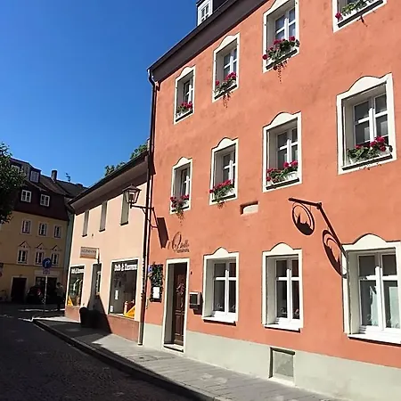 L'ostello Altstadthotel فندق ريغنسبورغ