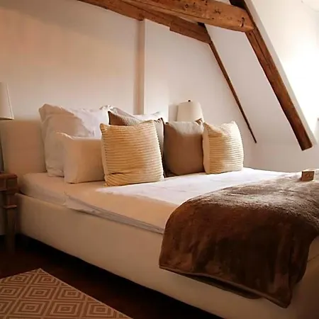 L'ostello Altstadthotel 3* ريغنسبورغ