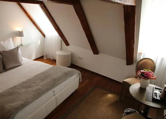 L'ostello Altstadthotel 3* Ρέγκενσμπουργκ