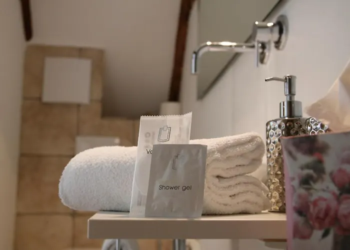 L'ostello Altstadthotel Ξενοδοχείο Ρέγκενσμπουργκ